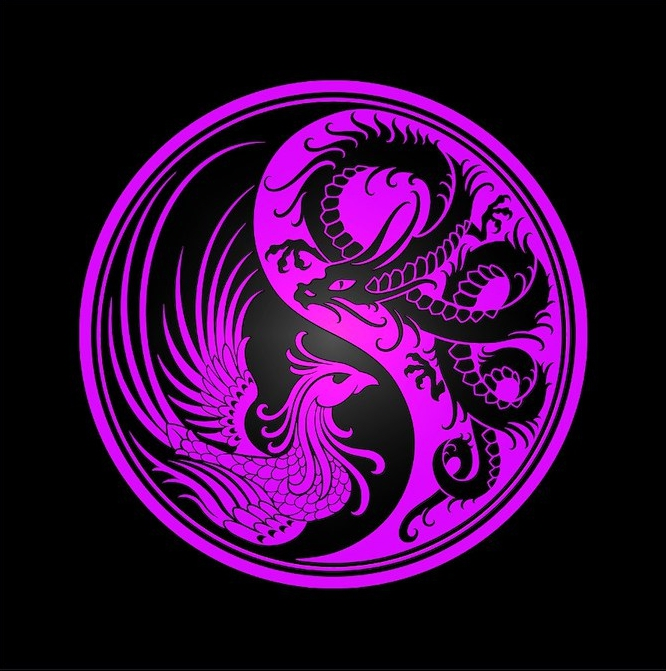 Clan Y4NG logo