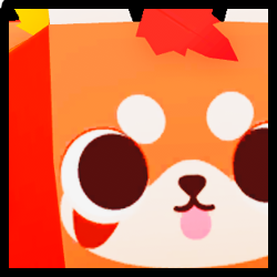 Huge Autumn Red Panda, Pets