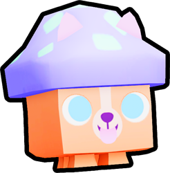 Mushroom Corgi, Pets