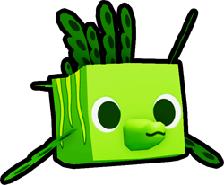 Leafy Seahorse, Pets