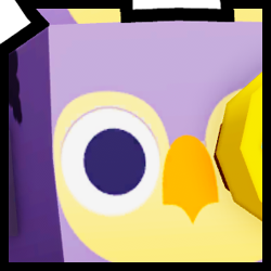 Huge Telescope Owl, Pets