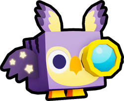 Telescope Owl, Pets
